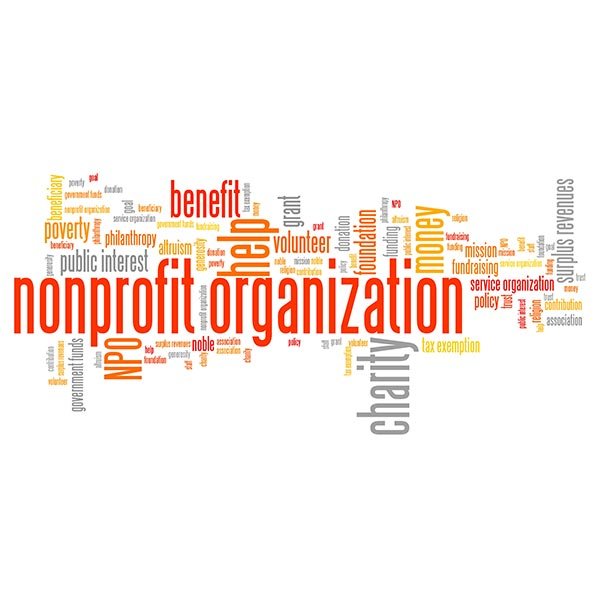 Nonprofit organization - Accounting firm in New York, NY