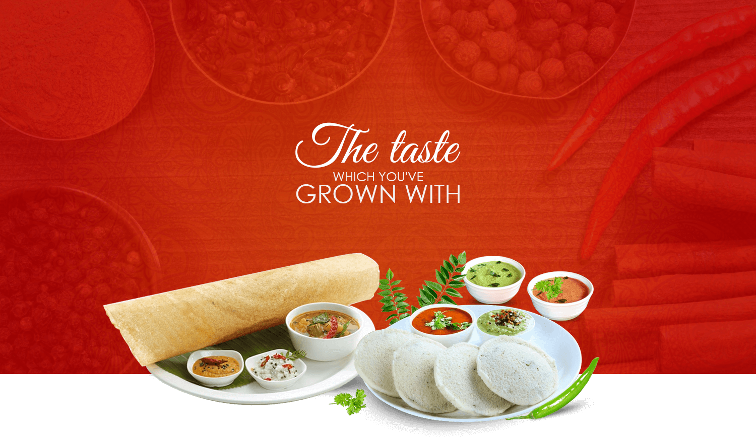 south indian food banner