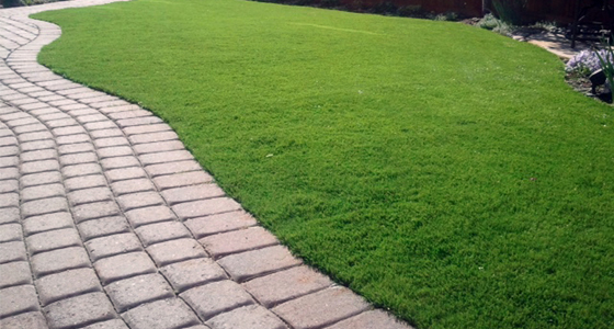 GreenLawn_UAE_Turf_Artificial-about-us