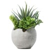 Ikea Succulent Plants Quisque aliquam magna sed